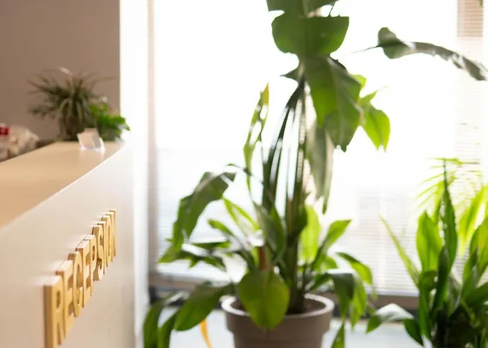 Joelle Premium Saranda